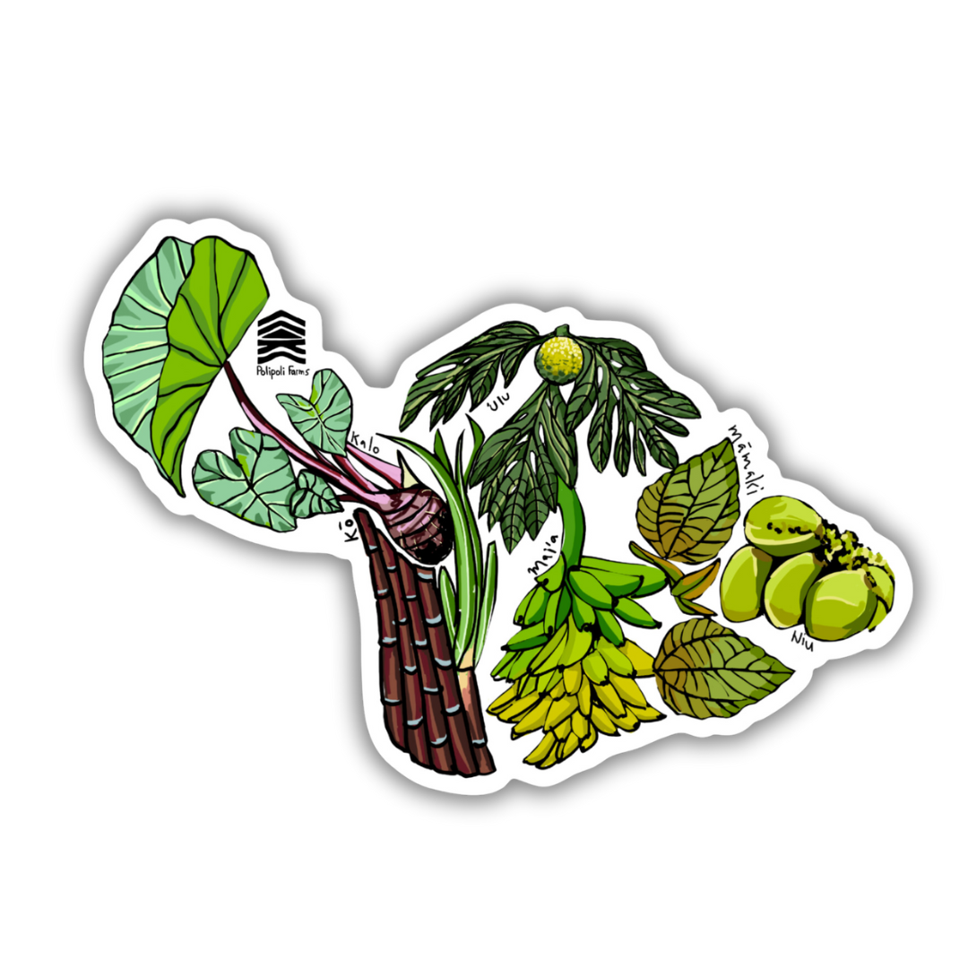 LIMITED EDITION - Feed the People sticker
