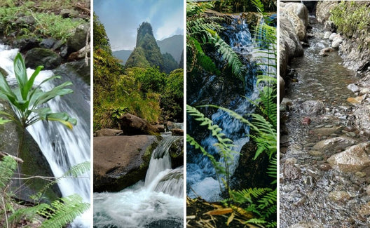 4 Reasons to Love Nā Wai ʻEhā
