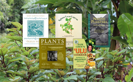 5 Favorite Books on Hawaiian-Style Planting