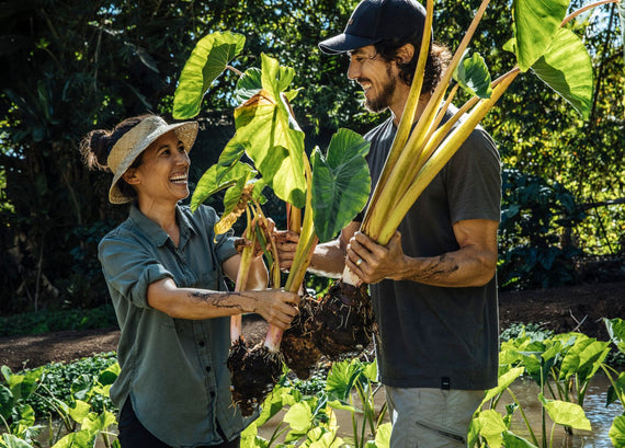 "Don't Grow Your Cultural Plants"