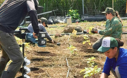 How to Become a Farmer With No Experience