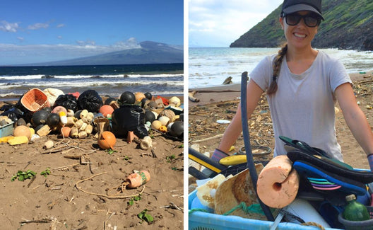 Where to Volunteer on ʻĀina in Hawaiʻi