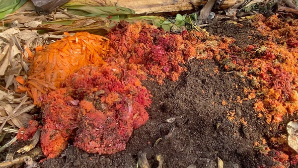 How We Turn Food Waste Into Healthy Soil
