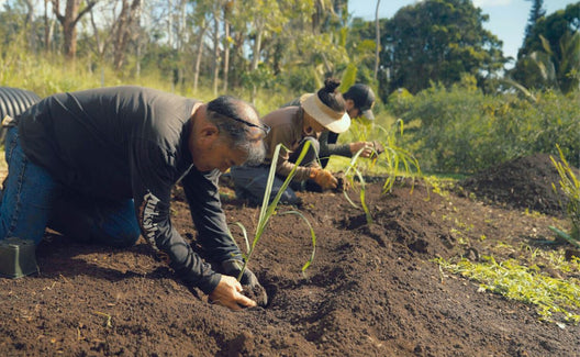 Still from 'Seeing with Hawaiian Eyes,' a documentary about Polipoli Farms and aloha ʻāina in Waiehu, Maui