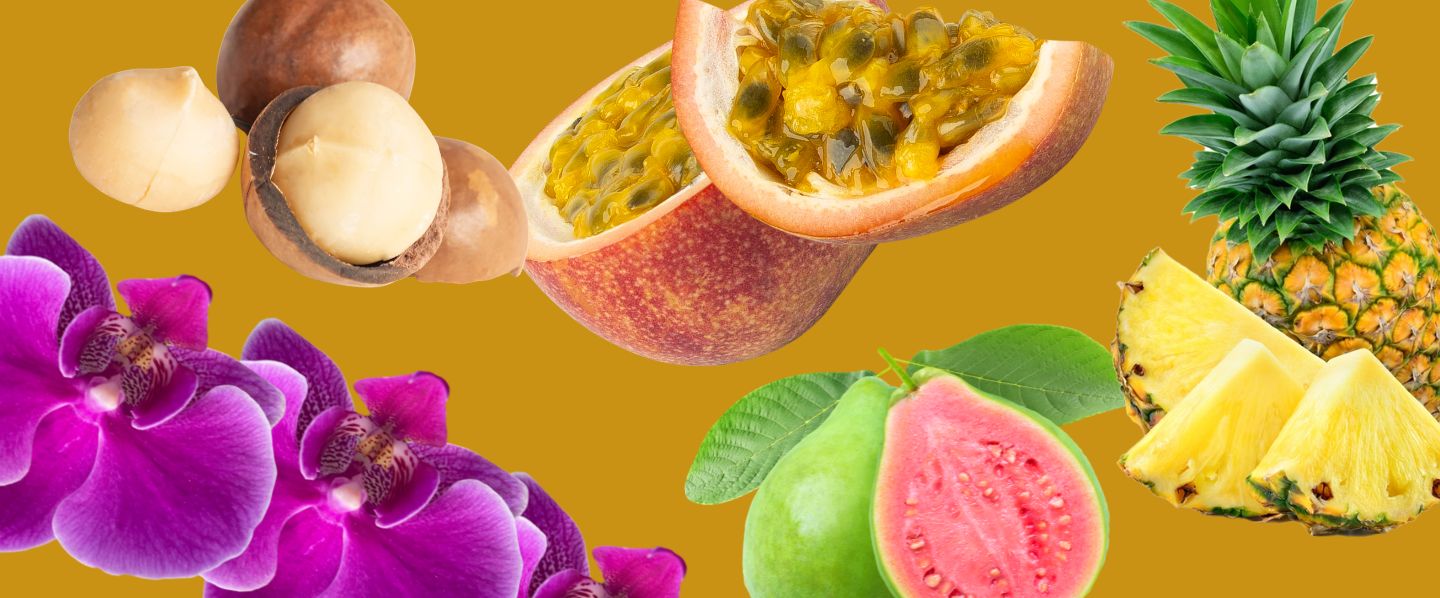 Plants That People Think Are Hawaiian