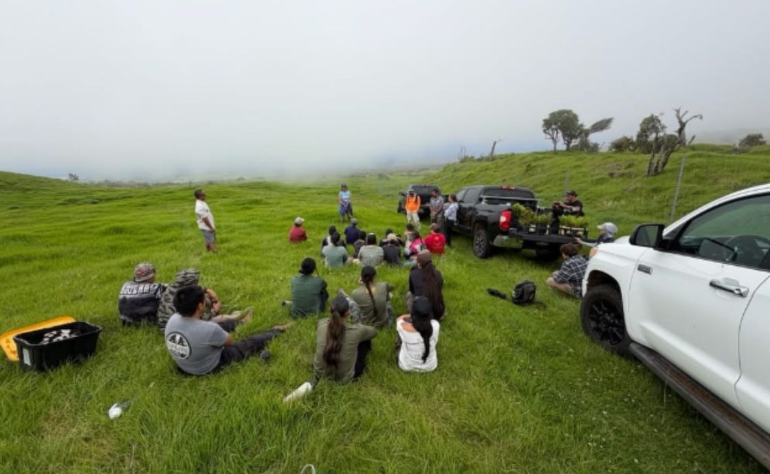 Auwahi Forest volunteers