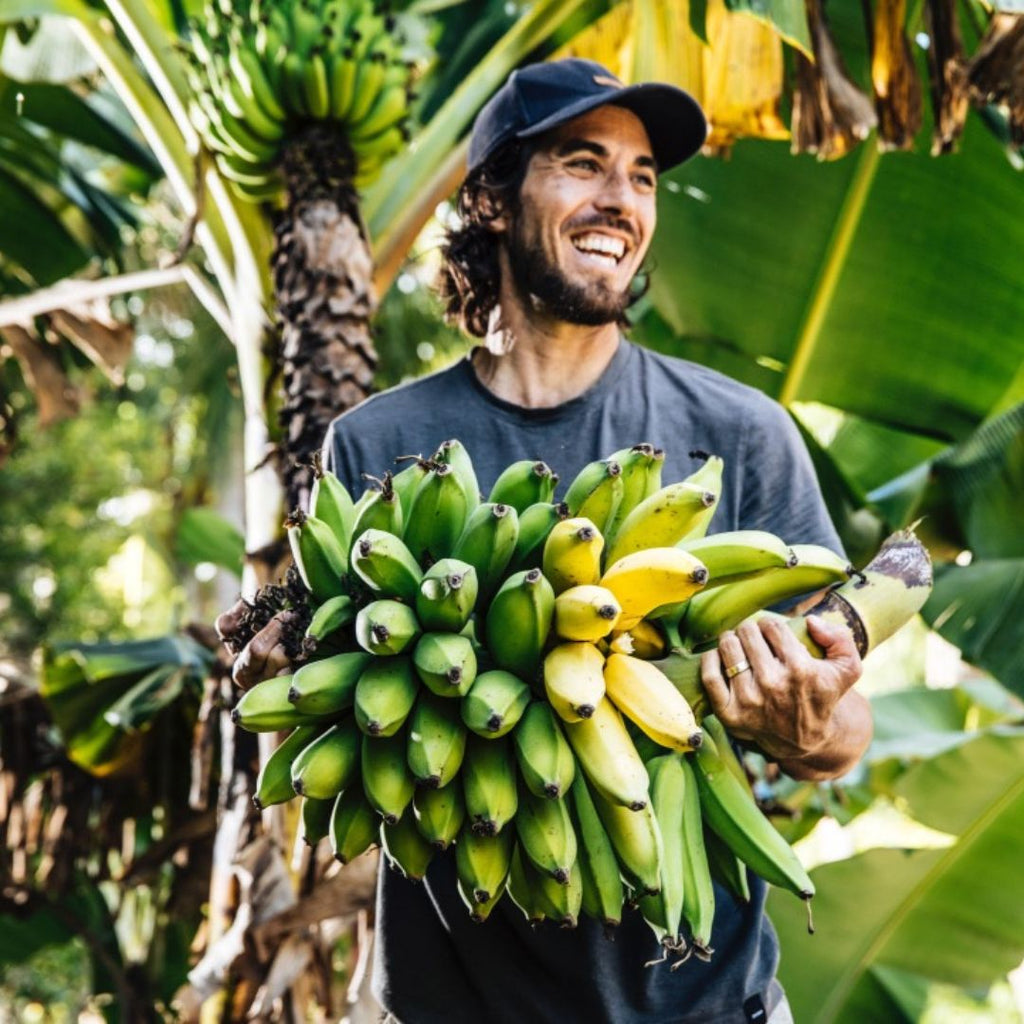 3 Pack - Chewy Bananas