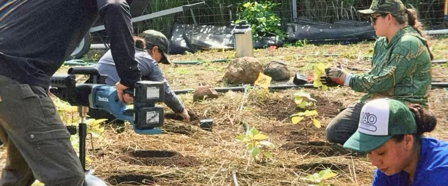 Working at a regenerative farm on Maui