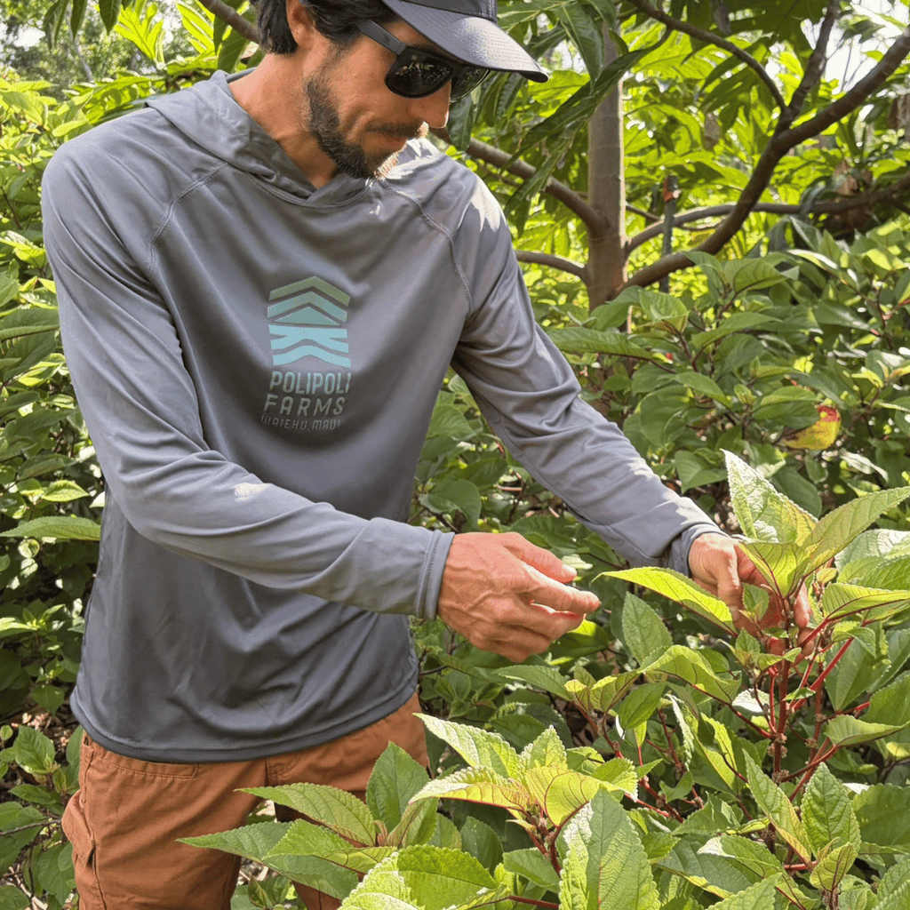 The All-Day Hoodie - 2 Colors