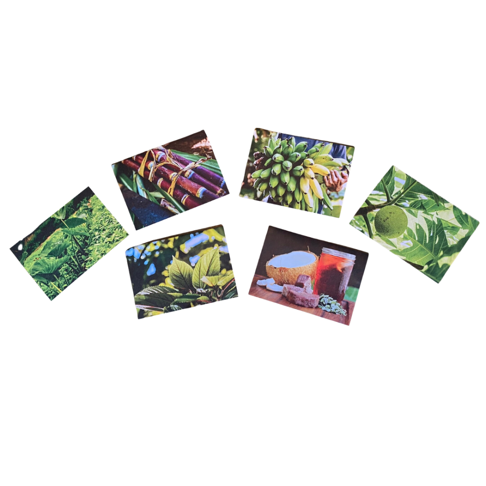 Aloha ʻĀina Greeting Cards