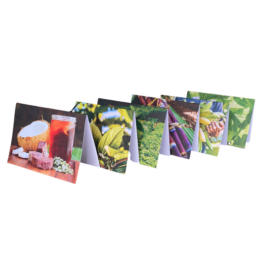 Aloha ʻĀina Greeting Cards