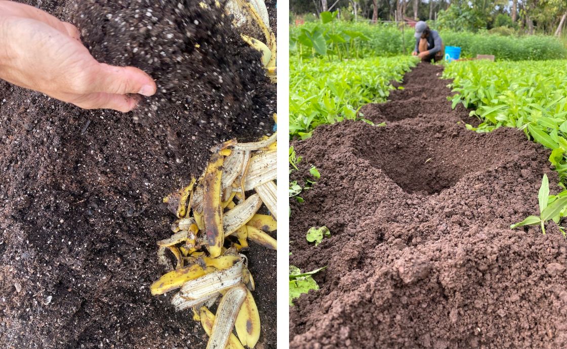 Regenerative farming practices
