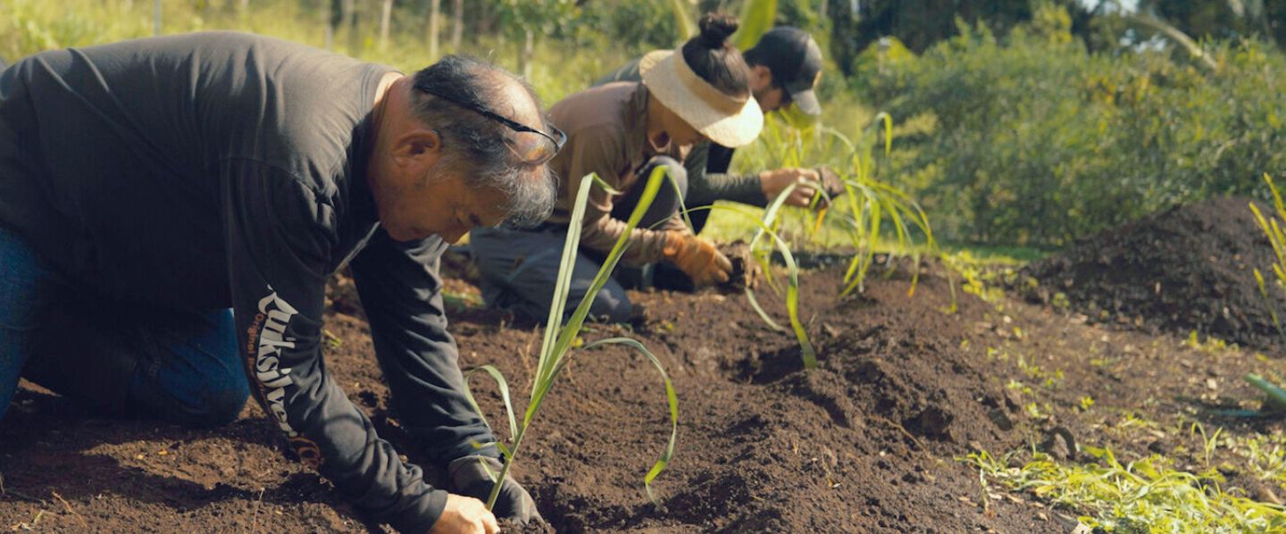 Still from "Seeing with Hawaiian Eyes," a documentary about Polipoli Farms and aloha ʻāina in Waiehu, Maui