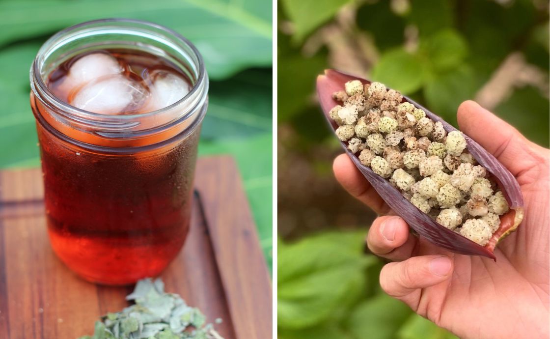 mamaki tea and mamaki fruit at Polipoli Farms on Maui