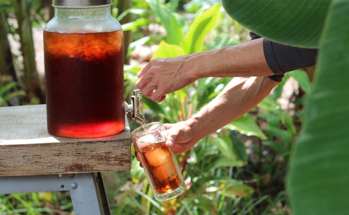 Drinking mamaki tea at Polipoli Farms