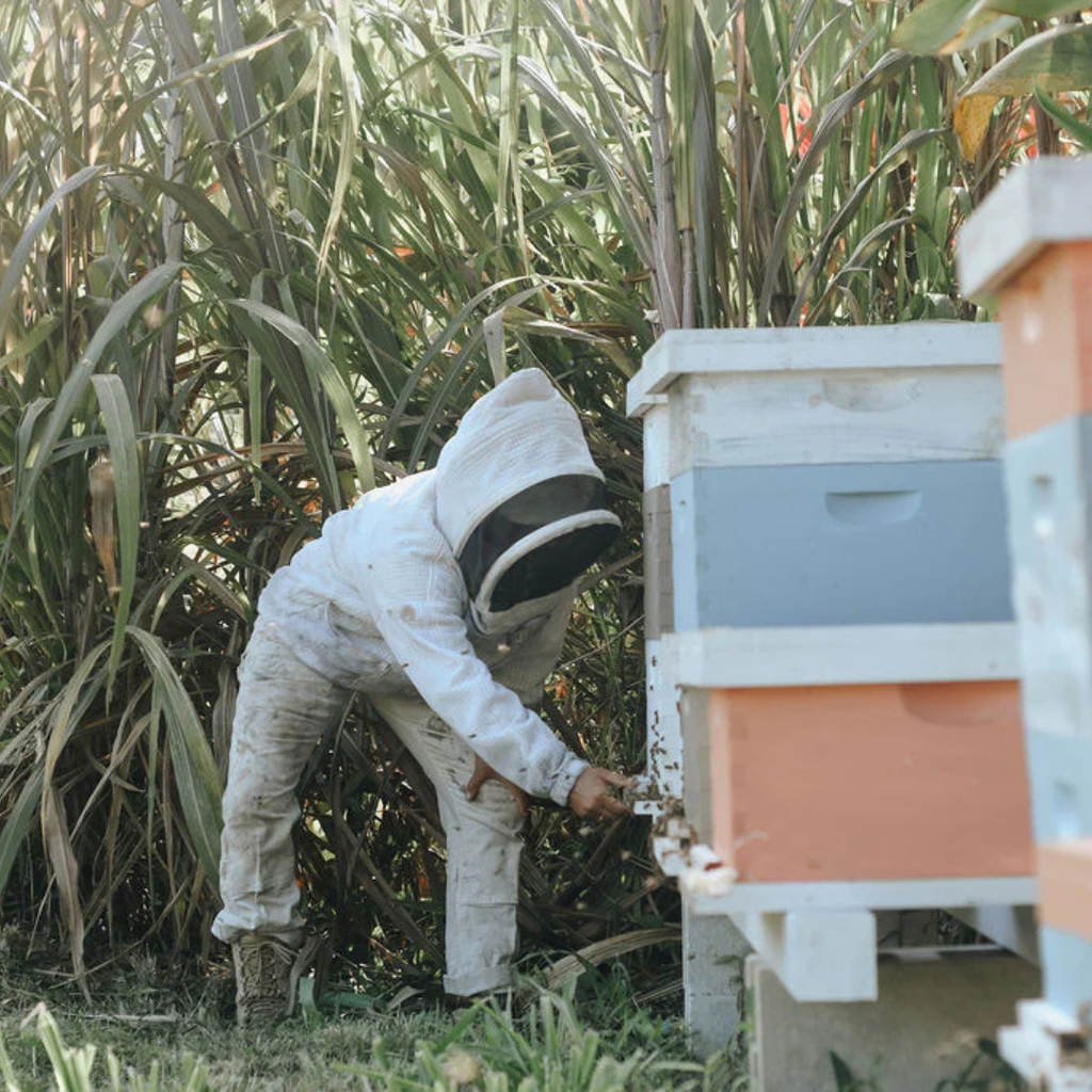 Polipoli Farms Tea x Kapuna Farms Honey Gift Set