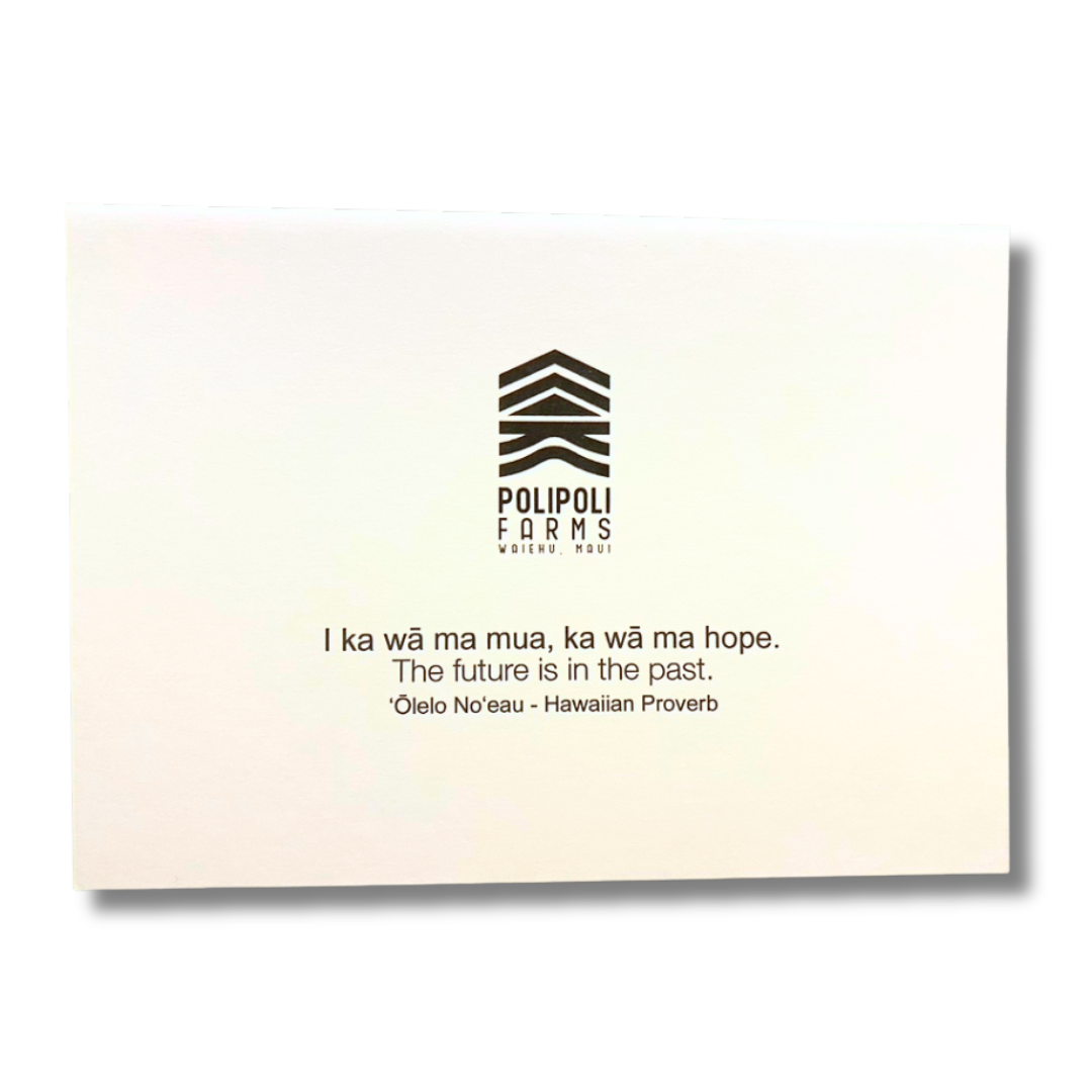 Holiday Gifting Set - Hawaiian Iced Tea