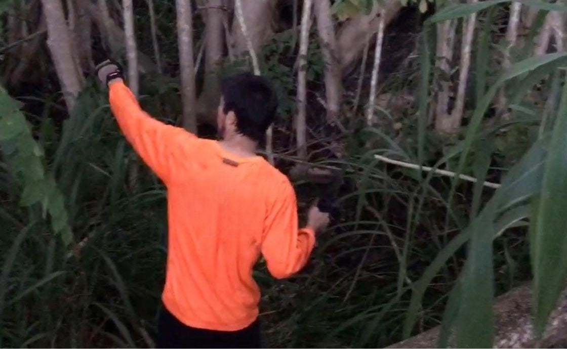 Clearing aina at Polipoli Farms